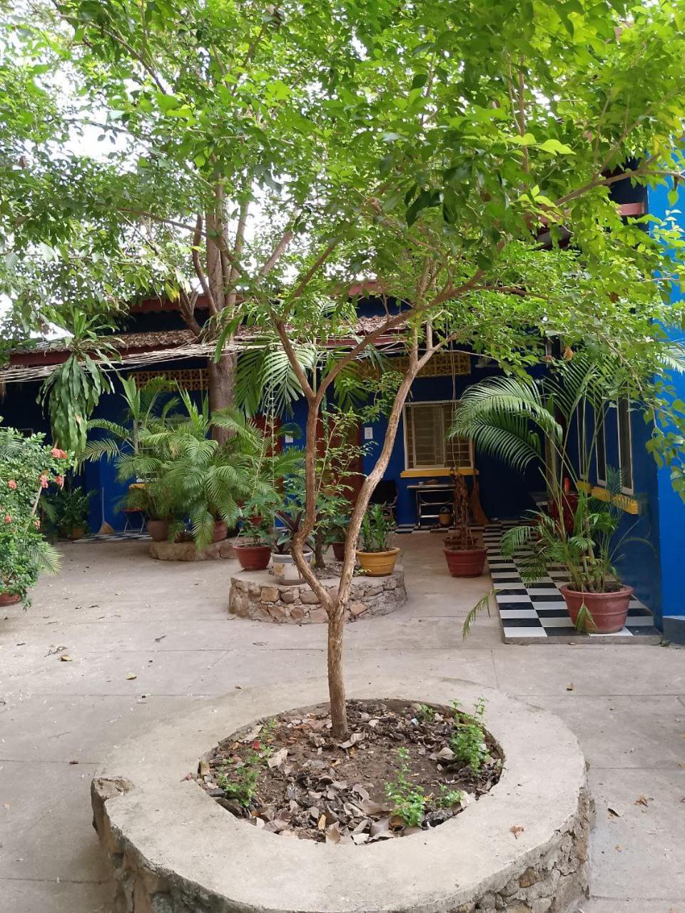 דירות קמפוט The Hideout מראה חיצוני תמונה